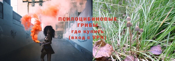 СК Алзамай