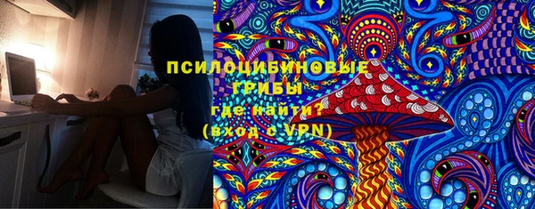 меф Алексин