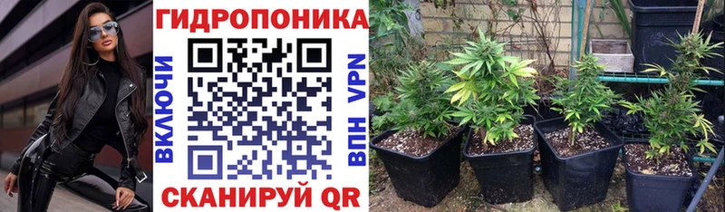 Шишки марихуана OG Kush  Фролово 